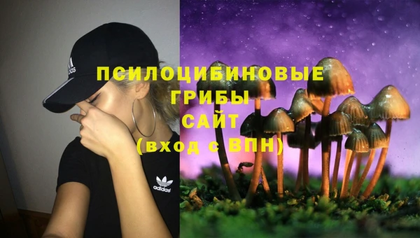 Альфа ПВП Наволоки