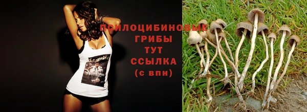 альфа пвп Нея