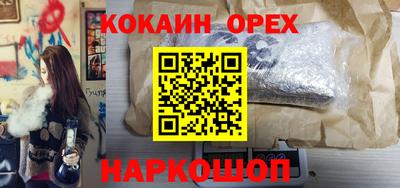 стафф Гатчина