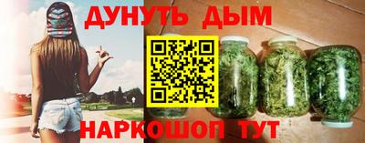 стафф Гатчина