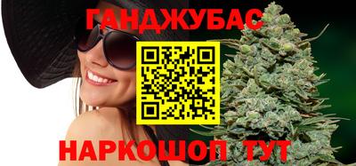 стафф Гатчина