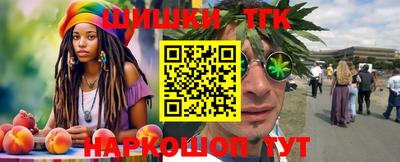 стафф Гатчина