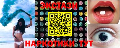 стафф Гатчина