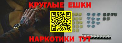 стафф Гатчина