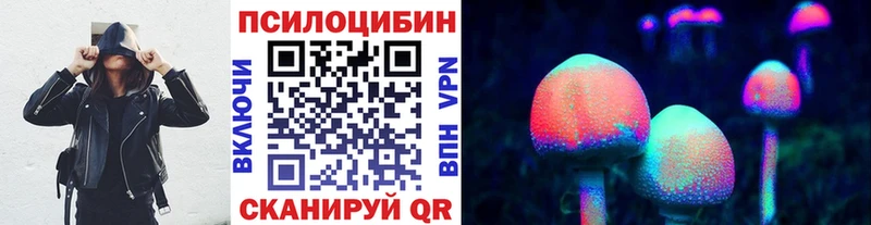 дарнет шоп  Магнитогорск  OMG онион  Псилоцибиновые грибы Psilocybine cubensis 
